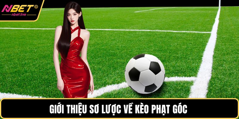 Giới thiệu sơ lược về kèo phạt góc